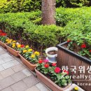 노들유치원