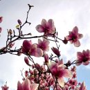 하천리-5 이미지