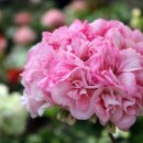 하루하루 이미지