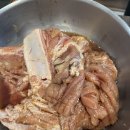 기장애견 이미지