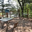 도그캠프 이미지