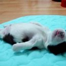 도봉-도봉-서울도봉-2369 이미지