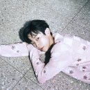 진영장식 - 중구 큰장로 94 | 진영장식