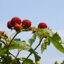 미주농장 이미지