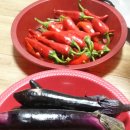 수화농장 이미지