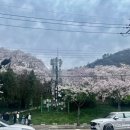 하당근린공원 이미지