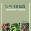 현대아트콤