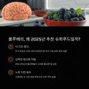 치매예방을 위한 뇌건강 레시피 | 2025년 블루베리, 뇌 건강과 치매 예방을 위한 최고의 슈퍼푸드!