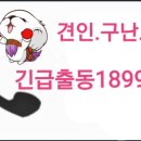 산청렉카 이미지