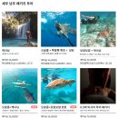 더페이지(첫번째페이지) | 세부여행 첫번째 이야기 - 세부 로컬페이지 호핑투어 내돈내산 후기 (오슬롭고래상어투어,투말론폭포...