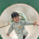 구갈레스피아(어린이놀이터) | 아이와 가볼만한 곳 용인 구갈레스피아 자연생태공원 어린이놀이터