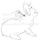 (주)아이펫브랜드 이미지