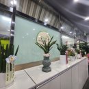 쌍용골프존파크 이미지