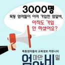 엄알비