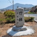 월정방풍림 이미지