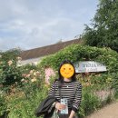 미사교차로 | 파리 스위스 자유여행 파리 3일차 지베르니부터 개선문, 몽마르트 언덕까지 완벽 일정