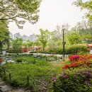 낭만가족 캠핑장 이미지