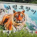 259포병
