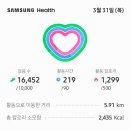 아리솜 이미지