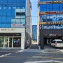 점프윙스 줄넘기 복싱 이미지