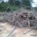 복만농장 이미지