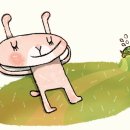 토끼와거북이