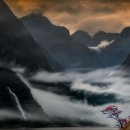 풍경속으로