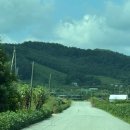 열명의농부채식당 이미지