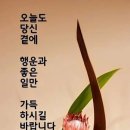 진심 - 제주시 오복4길 24 | 진심