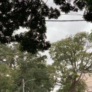 자바(JAVA) 호텔 | [발리&amp;자바여행] 14일차｜말랑 가볼만한 곳｜말랑 1일 코스 추천｜맛집, 카페, 벽화마을, 야시장