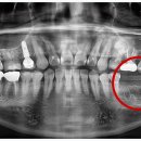 1945김근치과의원 이미지