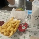 엄마손슈퍼 | 싱가포르 가든스 바이 더 베이 다녀온 후기 (+ 클라우드포레스트, 플라워돔,슈퍼트리 공연 까지!)