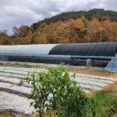 마하공인중개사사무소 이미지