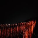 하회 스포츠경향