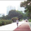 쌍둥이어린이공원 이미지