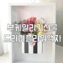 애련정로 2 이미지