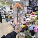 순천향화원