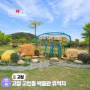 고창군 재활용선별시설 | 전북 고창 여행 가볼 만한 곳 볼거리 고인돌 박물관 유적지
