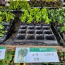 삽다리농원 이미지