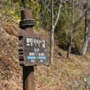 이순신공원(기상대) 이미지