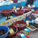 거진시장 이미지