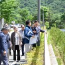 해뜰안애 이미지