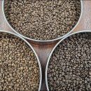 바리스타 중급 야간(3개월 과정) | 대전바리스타학원 창업을 위한 커피자격증 비용 완전정리