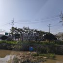 금풍마트 이미지