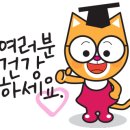 서린약국 - 서대문구 증가로 123 | 서린약국