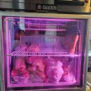훗스테이크 :) 가성비 최고의 스테이크 구미 맛집 다녀왔어요~