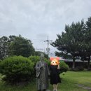 대정-1 | [여행] 제주 대정 제주추사관 후기｜무료로 둘러보기 좋은 조용한 전시관