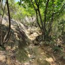 UR(공주시)-[차령고개로]-하-12 | [명산 Again #4] 폭염과 맞선 계룡산 9봉 종주