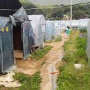 중천농장 네이버블로그