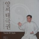 양씨태극권 타이치85식 (조유빈.박성철)-책소개 이미지